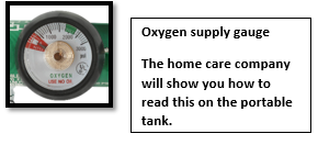 Oxygen supply gauge