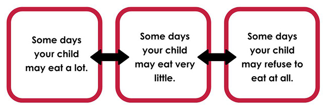 1590EN - Feeding Your Toddler 1 to 3 Years