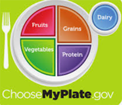 choose my plate