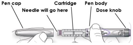 epipen