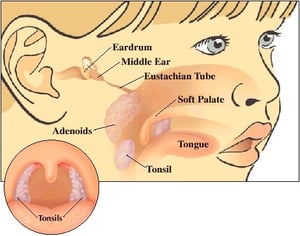 nasopharyngoscopy