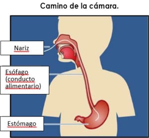 Path of the Camera
