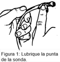 figure 1 SPANISH