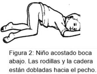 figure 2 SPANISH