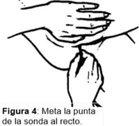 figure 4 SPANISH