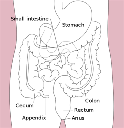 Hemorrhoids