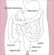 IBS