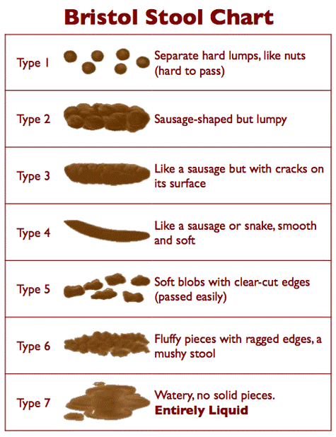 Bristol chart