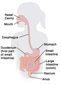 gi