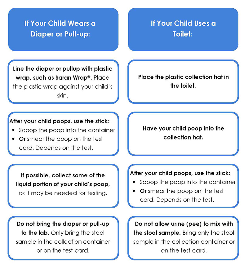 How to Collect a Stool Sample for Testing