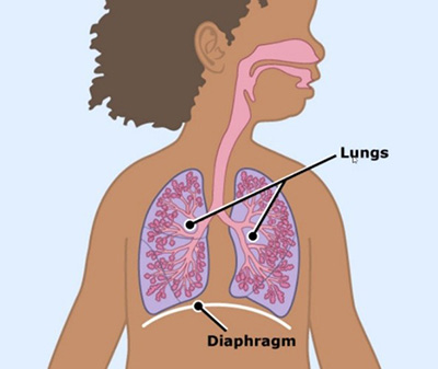 1372 - Asthma
