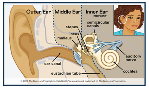 2254 Ear