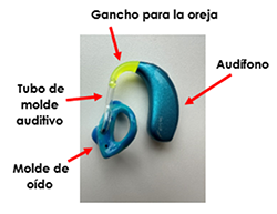 ear hearing aids