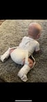 child crawling on ground in harness