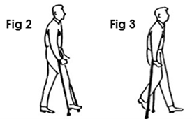 walking