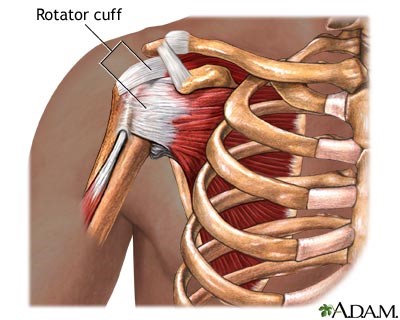 Rotator Cuff