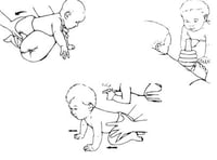baby walking on hands