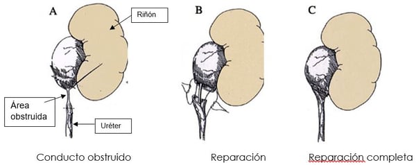 conducto image