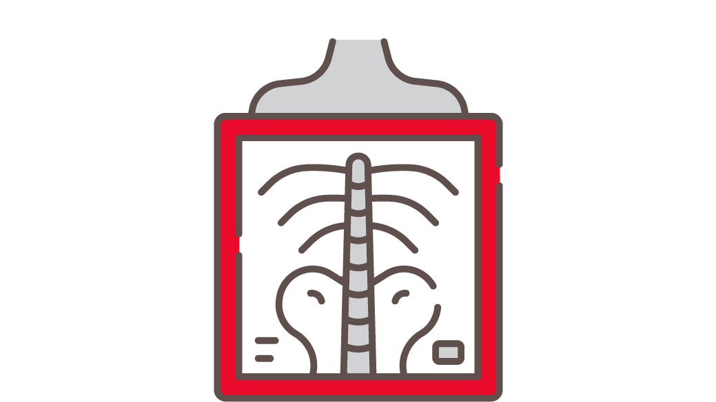 X-ray icon
