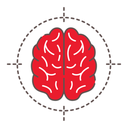 brain