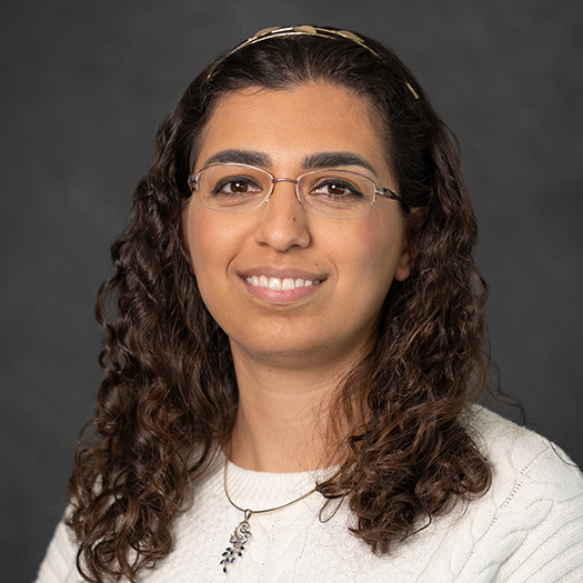 Gazelle Zerafati-Jahromi