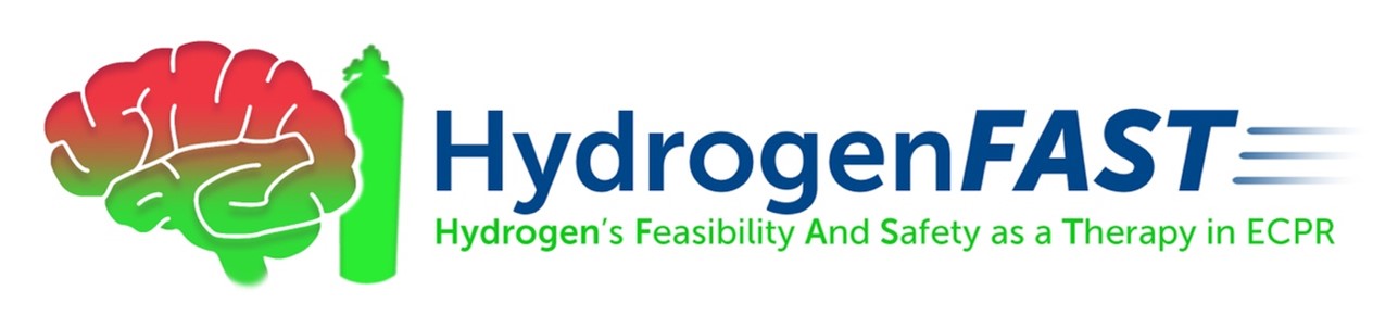 Hydrogen-fast logo