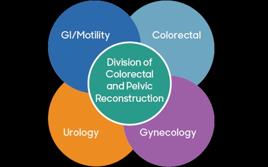 A Venn diagram with 5 circles showing the intersection between GI/Motility, Urology, Colorectal, Gynecology--with the Division of Colorectal and Pelvic Reconstruction in the circle at the center.