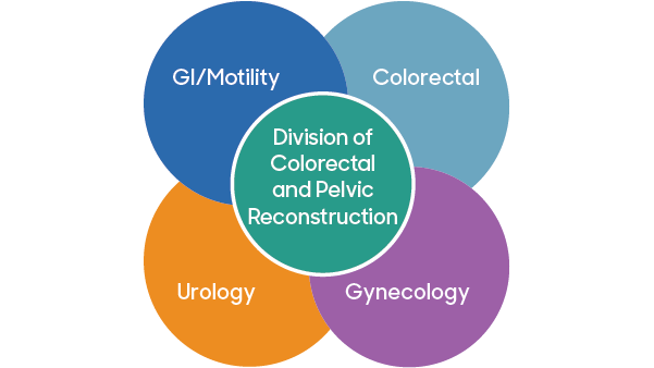 A Venn diagram with 5 circles showing the intersection between GI/Motility, Urology, Colorectal, Gynecology--with the Division of Colorectal and Pelvic Reconstruction in the circle at the center.