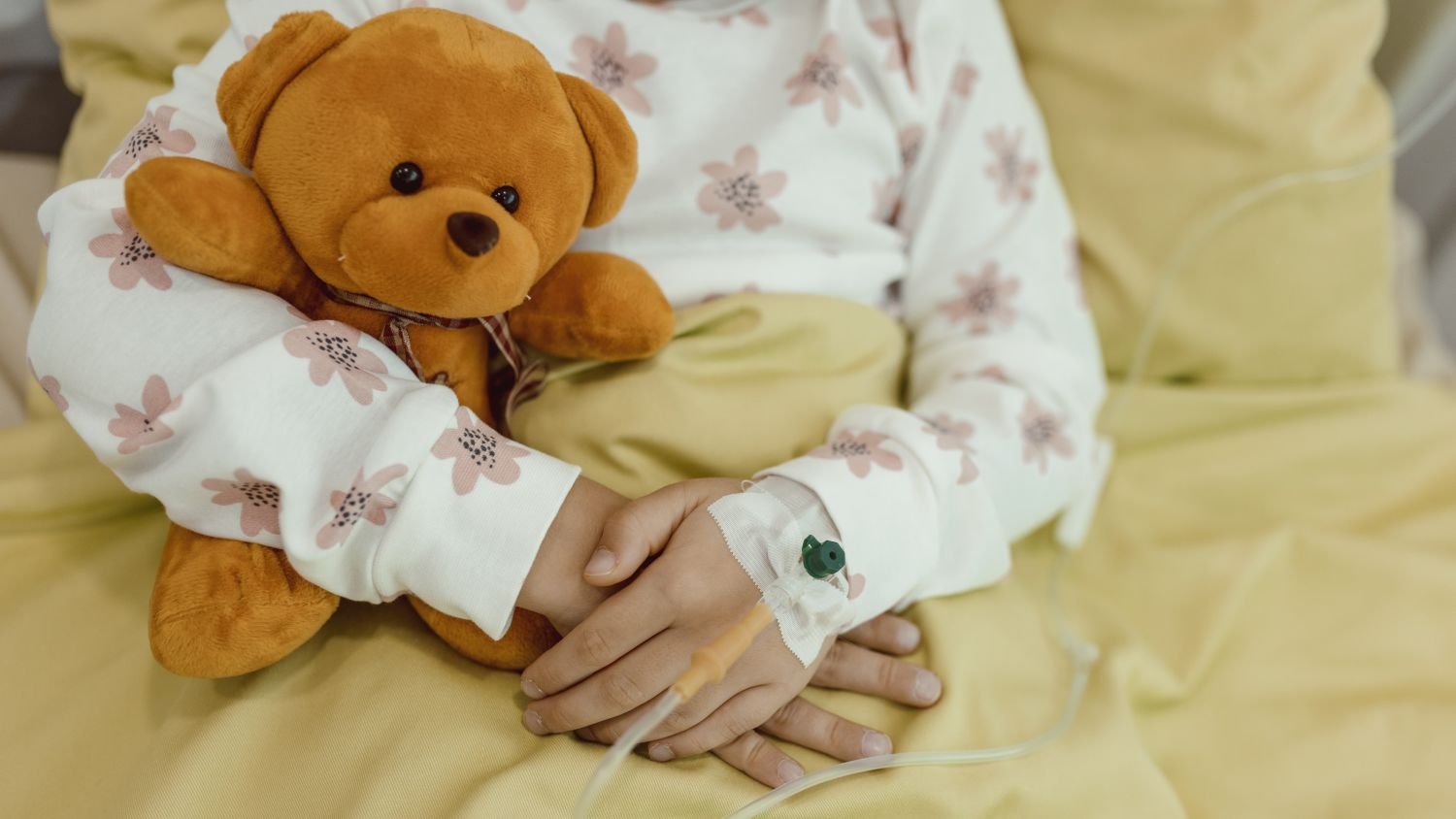 Small girl holding a teddy bear