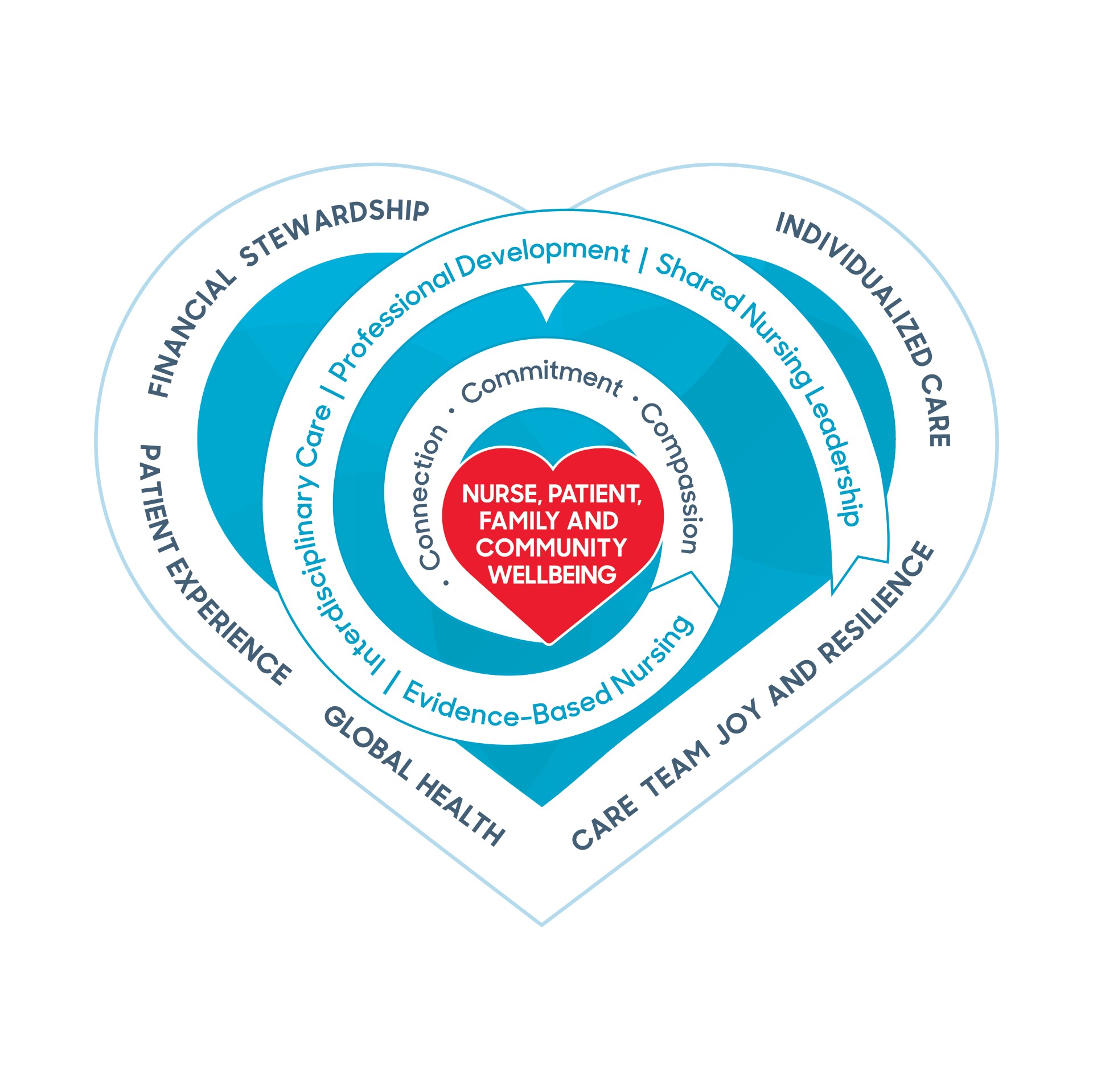 Nursing professional practice model