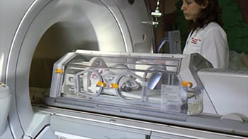 Fetal Brain Lab