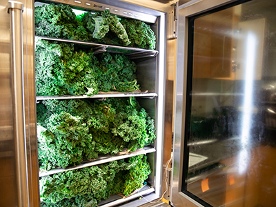 kale at the food pharmacy