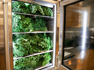 kale at the food pharmacy