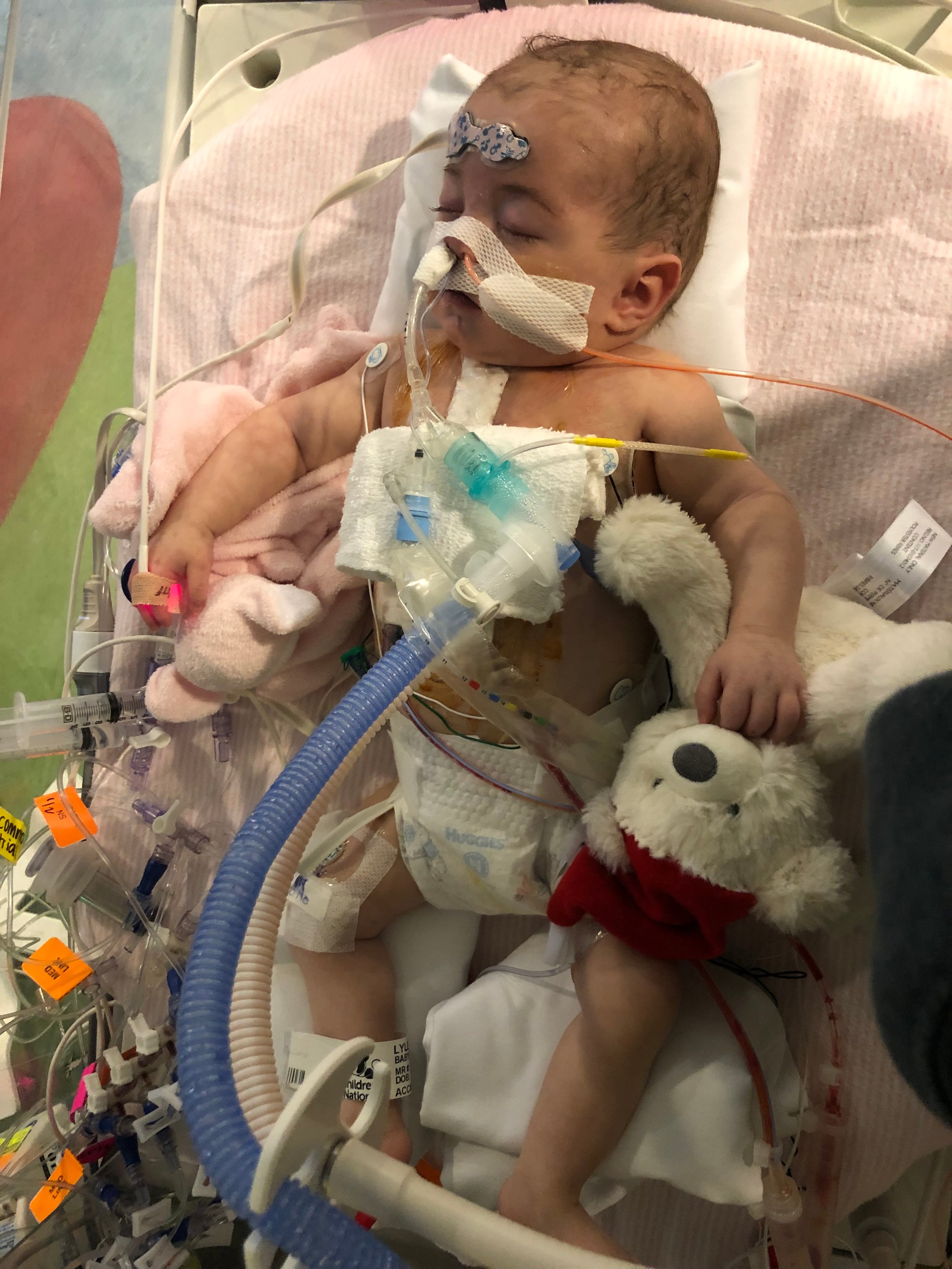 Cayden as a baby, connected to life-supporting tubes.