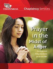 Cover image for Anger PDF