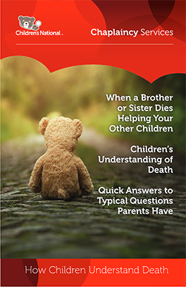 Cover image for Sibling