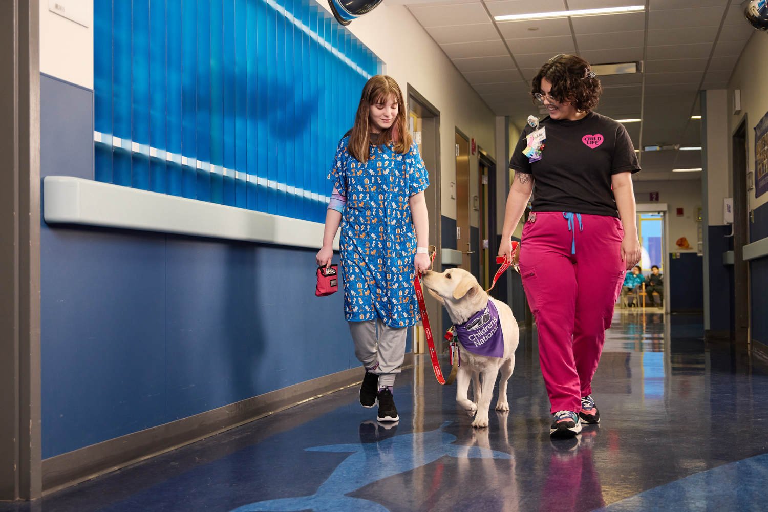 Photo of a therapy dog walking with young female patient and a child life specialist at the hospital