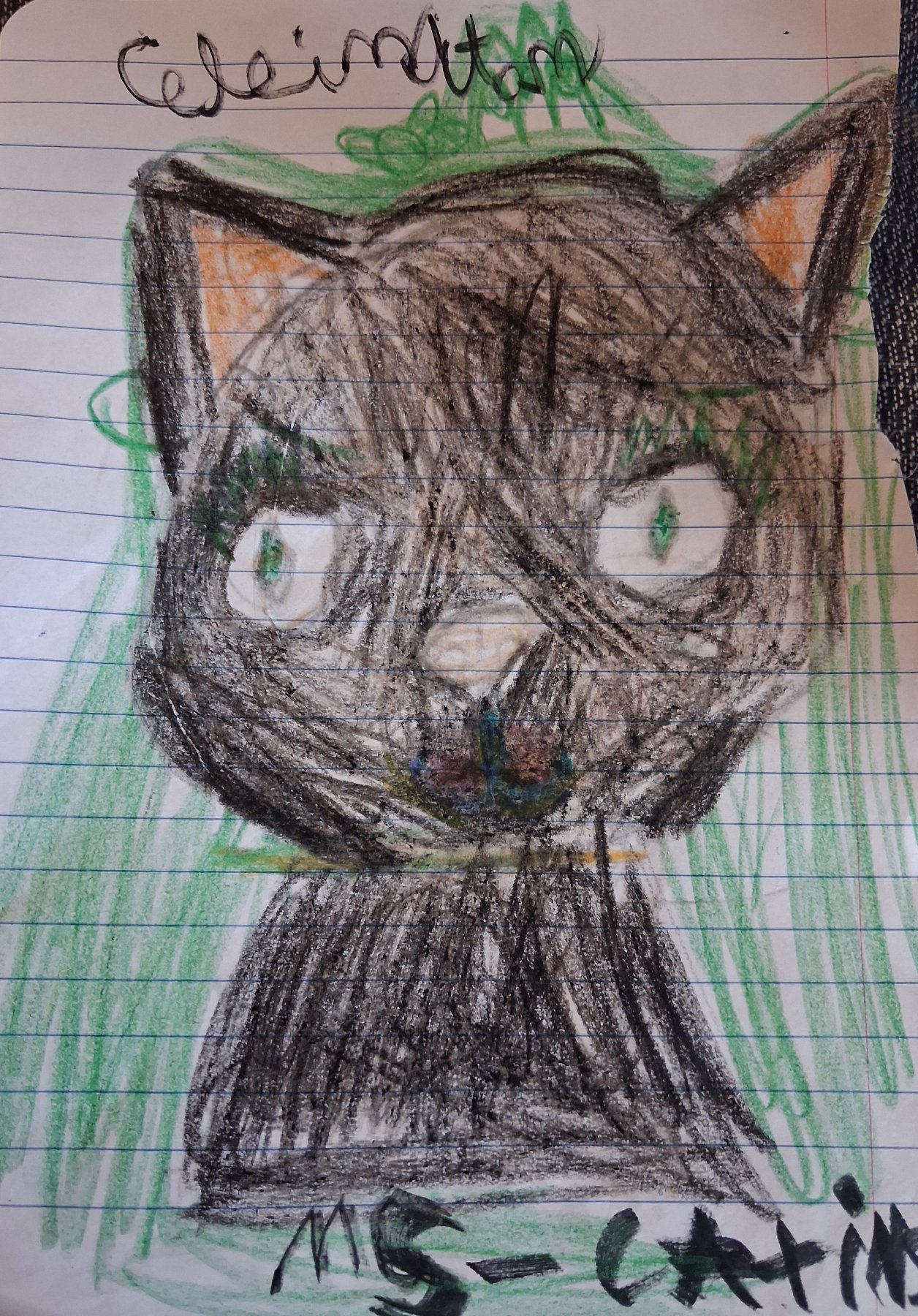 Ellington drawing of a cat