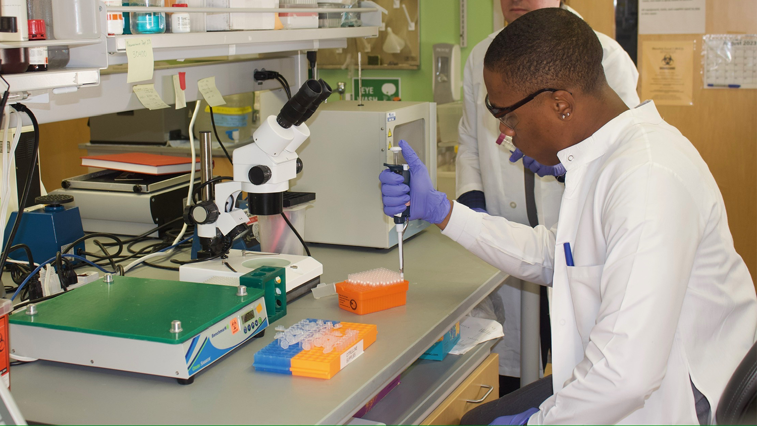 An intern carefully conducts specimen processing as part of a research study, ensuring accurate and precise handling for analysis.