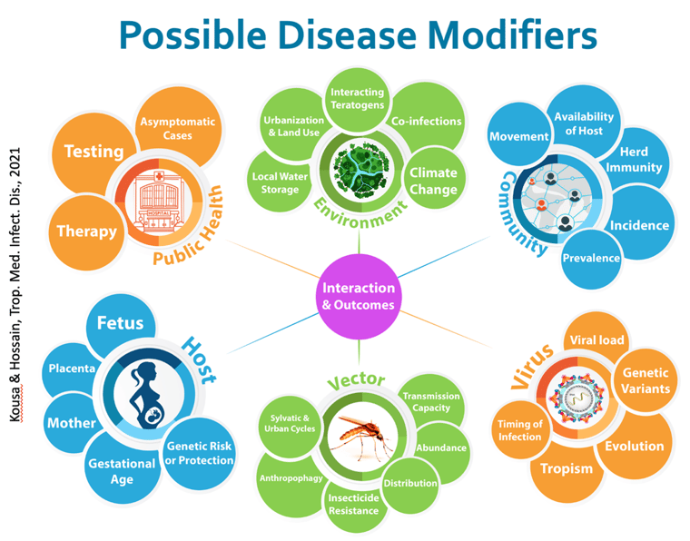 Graphic describing possible disease modifiers.
