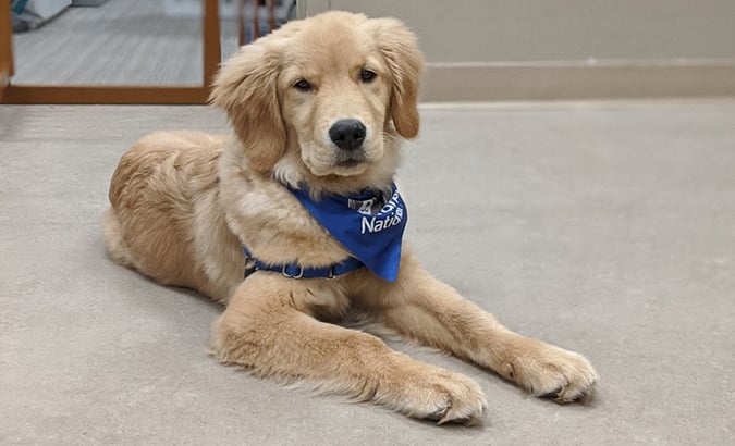 150 Years Stronger Patient Story company