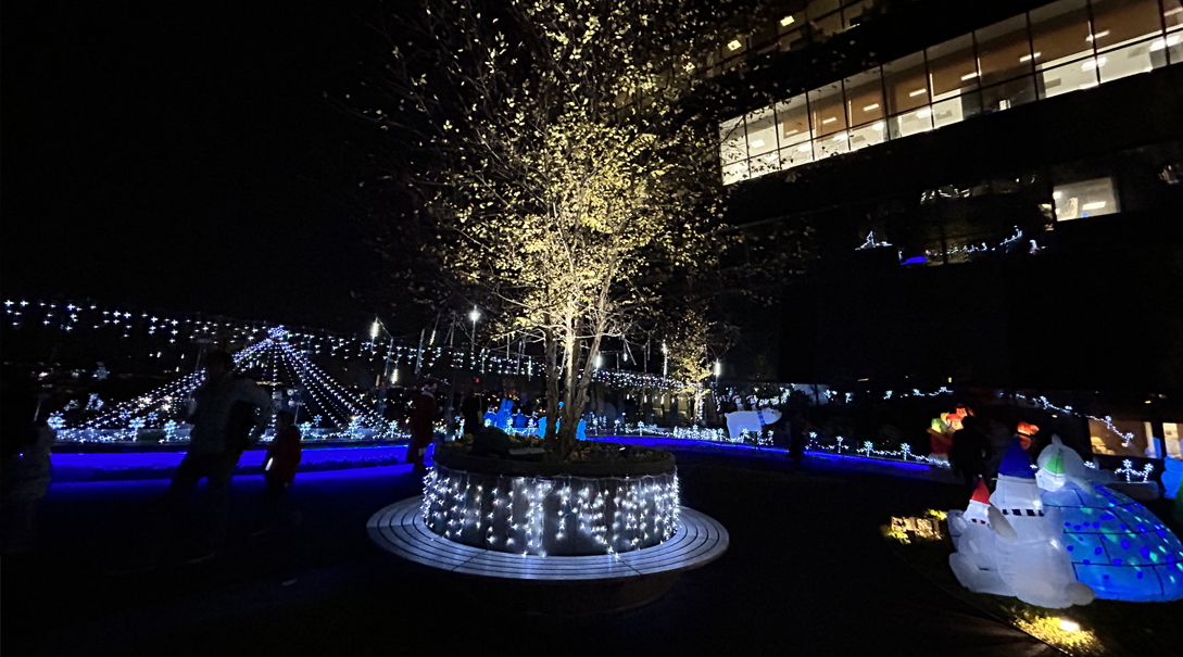 Healing Garden at night decorated with festive holiday lights