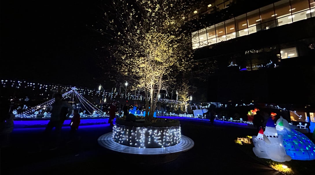 Healing Garden at night decorated with festive holiday lights