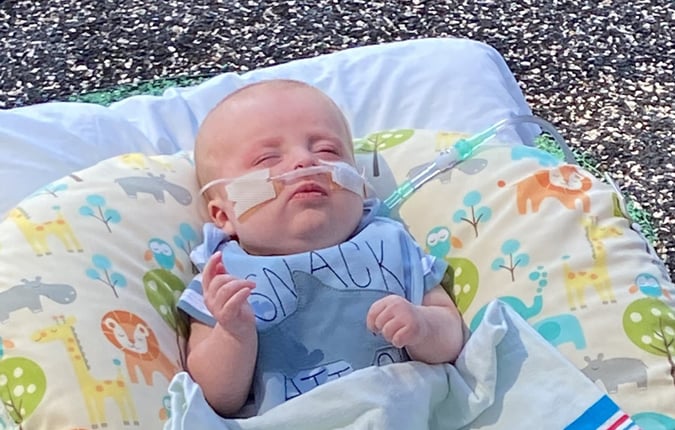 Alfie healing garden