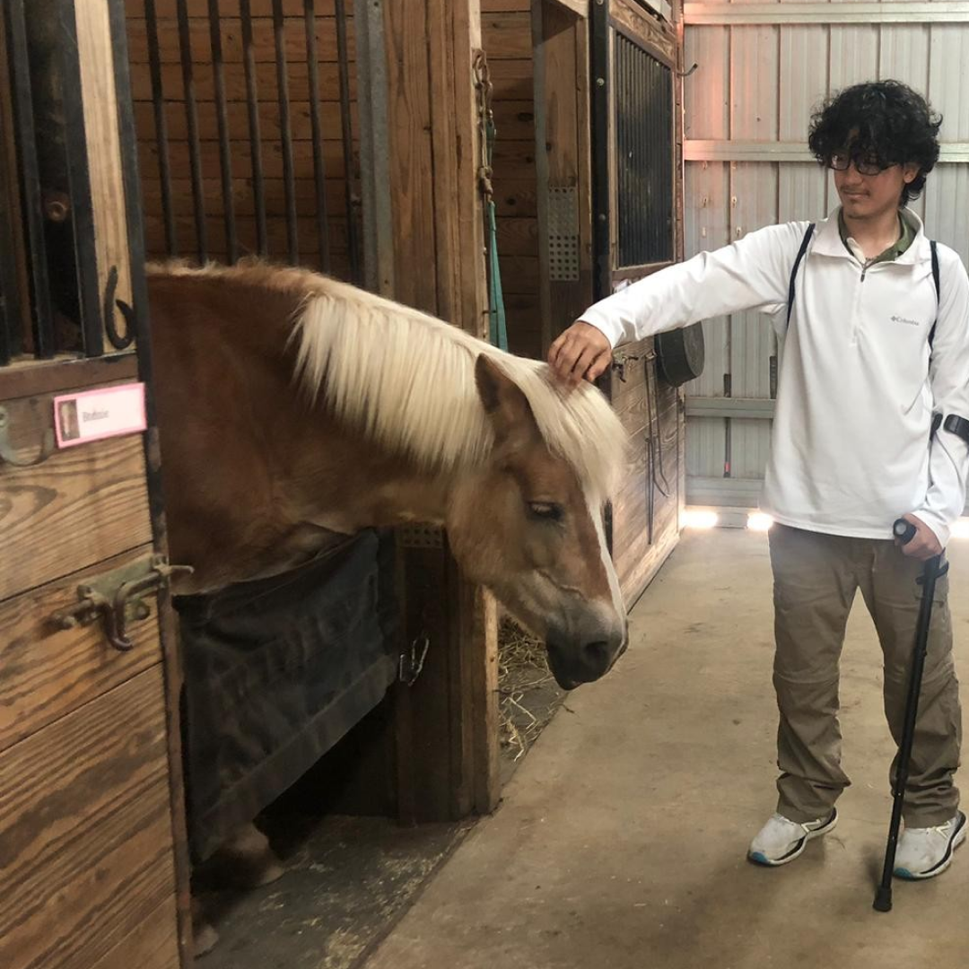 Fernando, age 16, pets a horse.