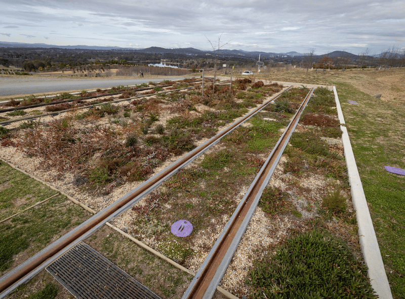 Bringing nature back to the heart of Canberra | News | CPB Contractors