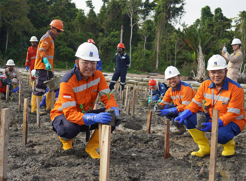 Leighton Asia rehabilitates 10000 sqm of mangrove forest in Indonesia