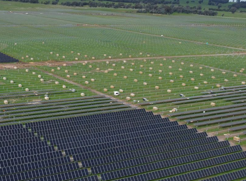Renewable energy partner
