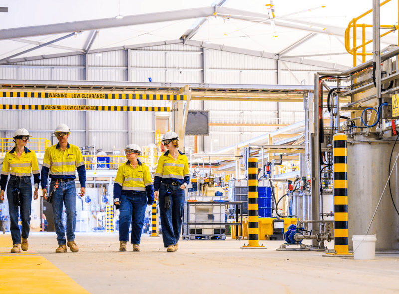 Pilot, Scale-up and Process Performance 