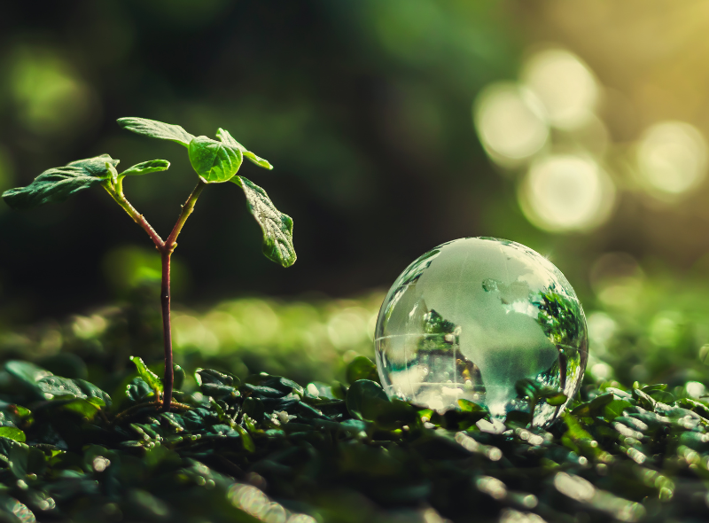 Decarbonisation and Sustainability